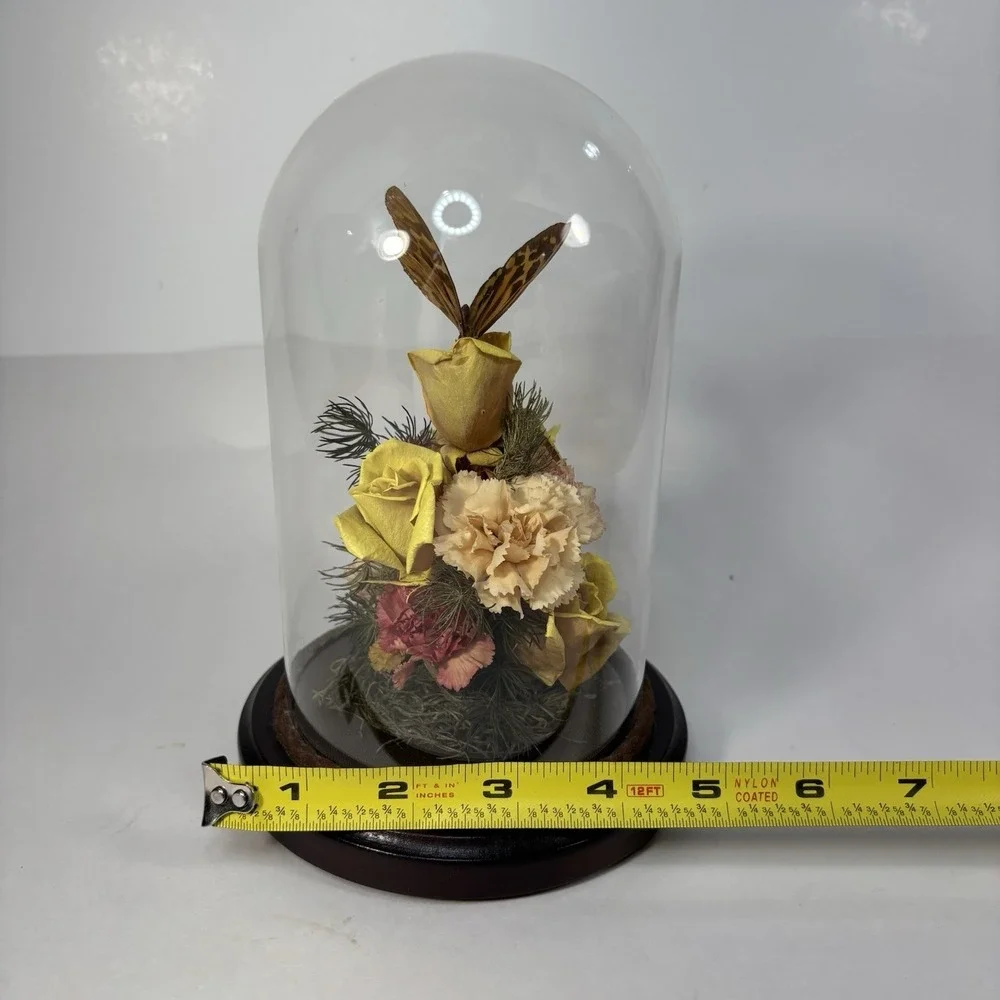 Vtg Dried Flower & Butterfly Bee Domed‎ Diorama Cloche MCM Decor Wood Base 7.5